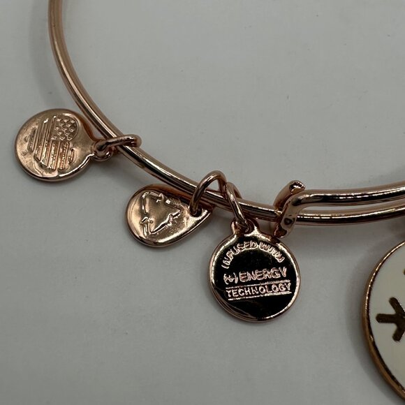 Alex And Ani Snowflake Expandable Charm Bangle Bracelet Rose Gold Finish 2015 Ed - Picture 3 of 6